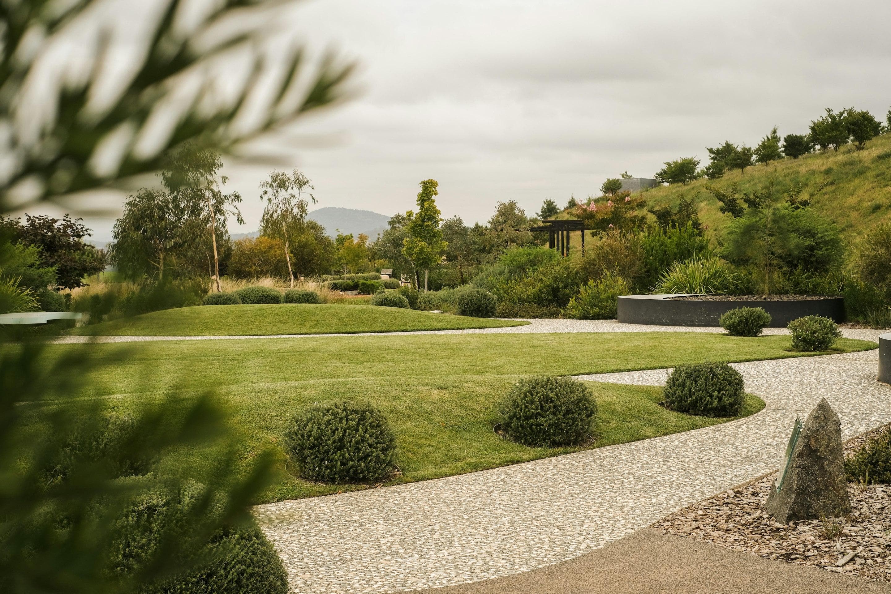 Landscaped lawn with a curved path and clipped garden beds